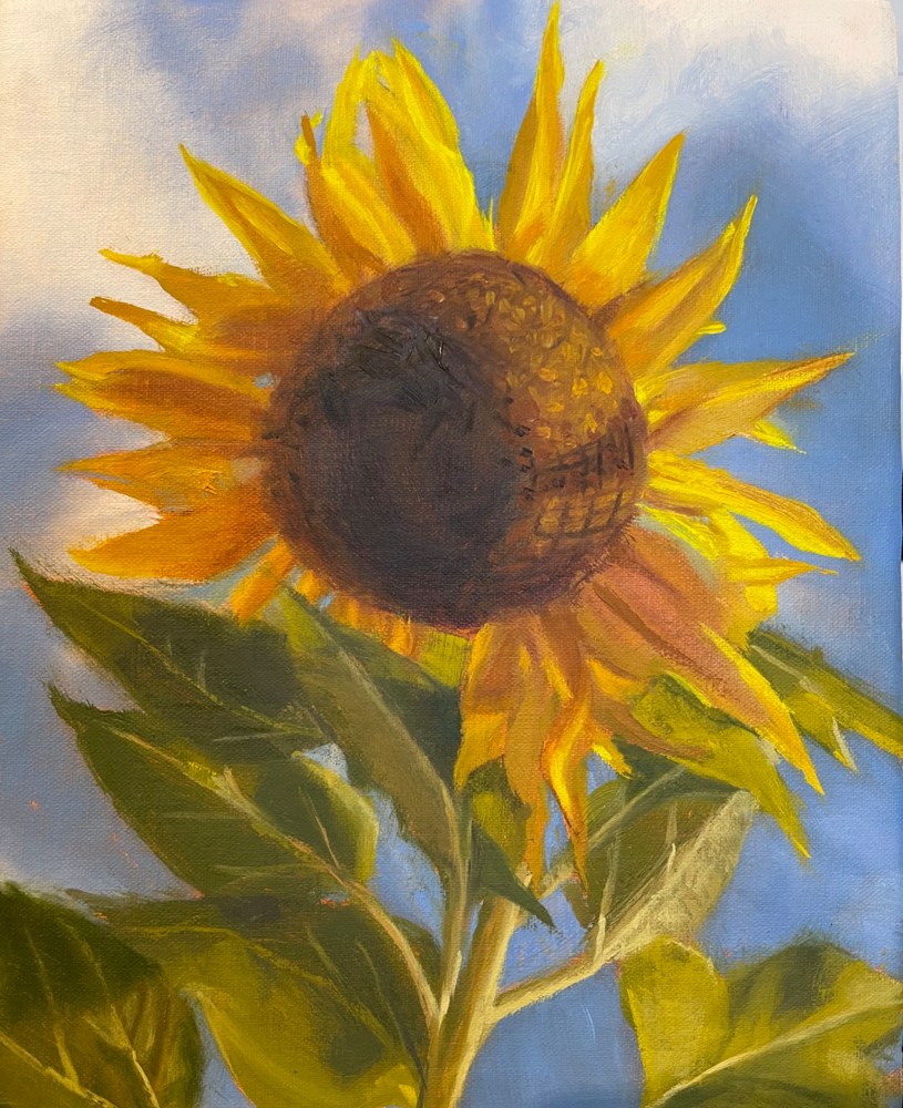 Oil painting of a Sunflower