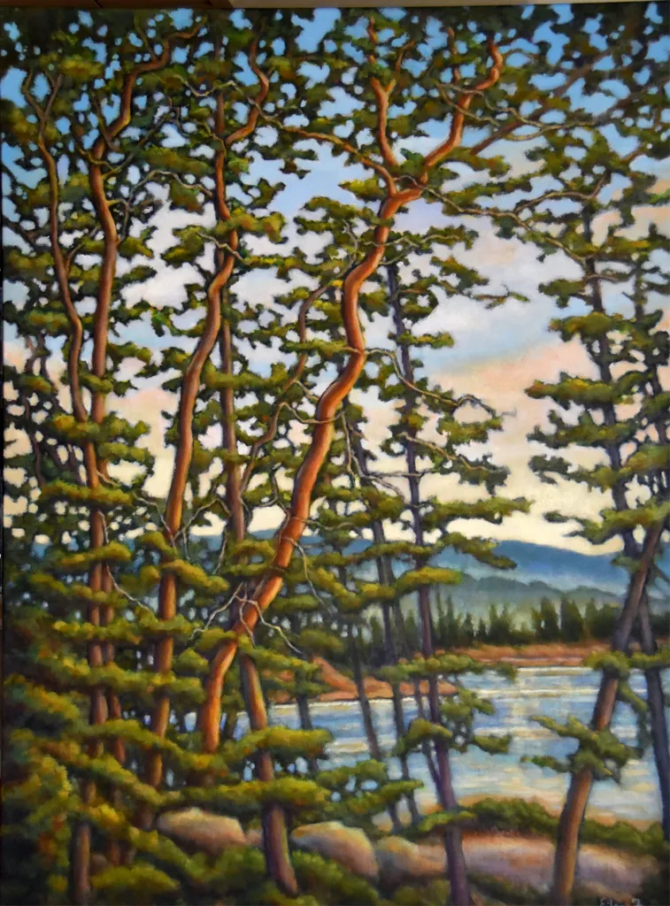 Acrylic, imprssionistic painting of Arbutus Trees along the shore